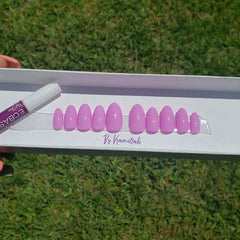 Solid Colors - Classic