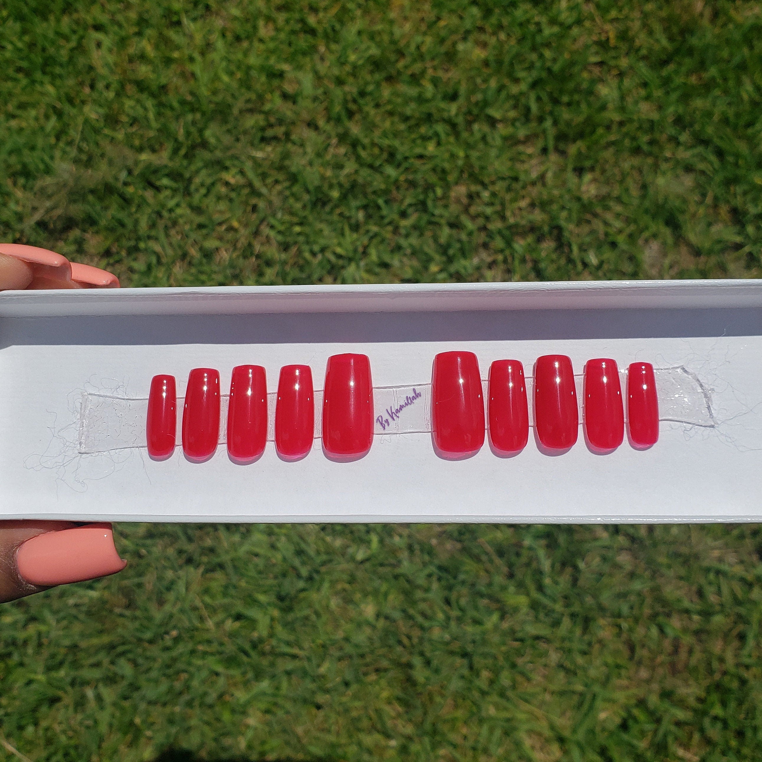 Solid Colors - Classic