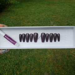 Solid Colors - Classic