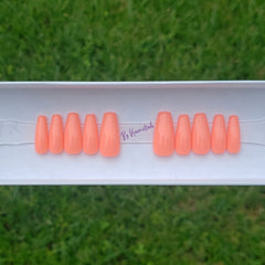 Solid Colors - Classic